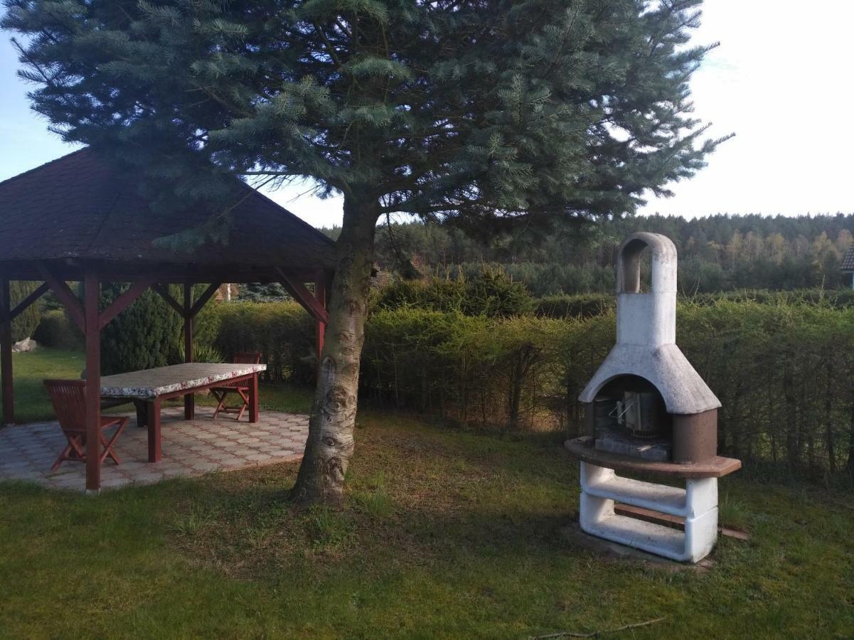 Villa Danuta- Wiselka, Direct At National Park, Big Garden, 4 Bedrooms, Private Sauna Exterior photo